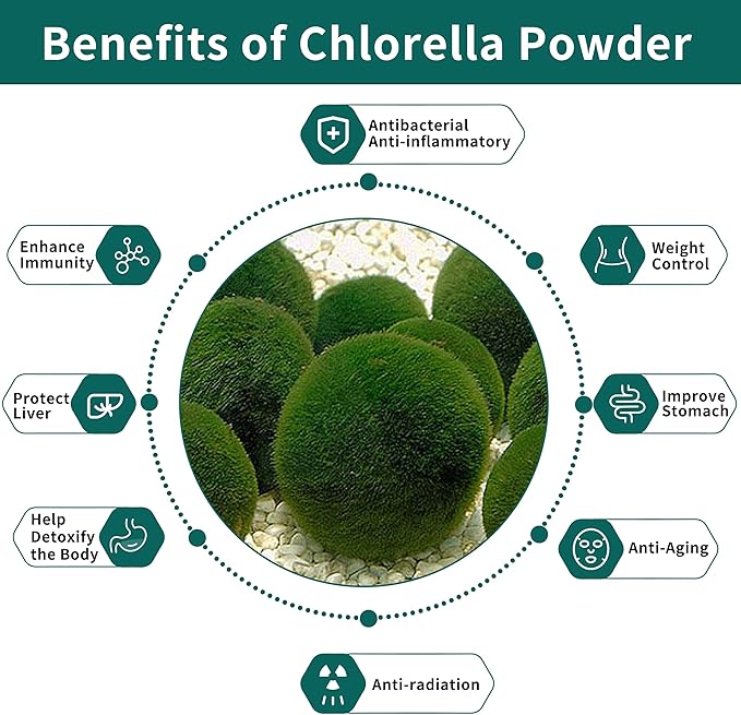 Chlorella Powder Natural with 11 oz