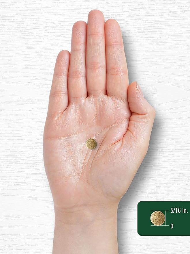Carlyle Ginkgo Biloba 3000mg 400 Tablets