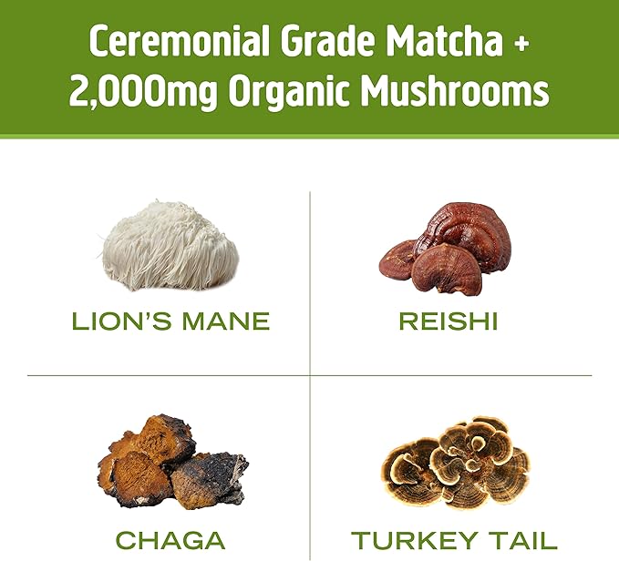 OM MUSHROOM SUPERFOOD Matcha Latte Blend Mushroom Powder, Single Serve, 10 Count, Green Tea, Lion's Mane, Reishi, Chaga, Turkey Tail, Focus & Stress Support Supplement