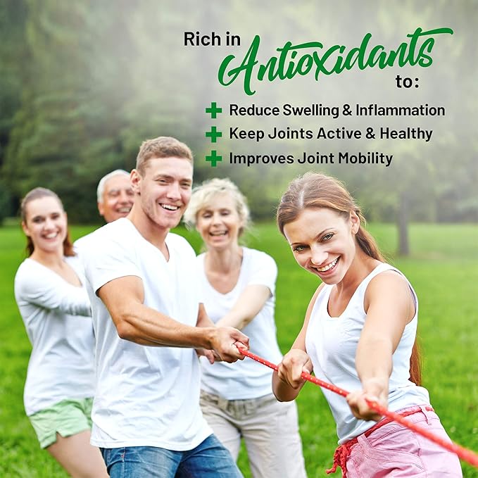 Organic Green Immunity Superfood Powder - Soothes Digestion, Boosts Healthy Vitality and Energy. Fast Acting Formula with Probiotics, Enzymes, Turmeric and Ashwagandha (30 Servings Lemon-Mint)