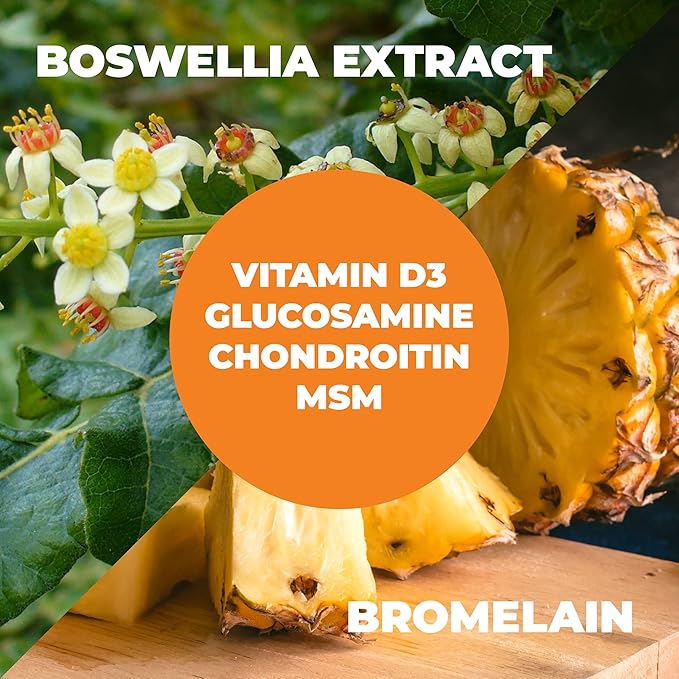 Glucosamine Chondroitin with Vitamin D3, Boswellia, 120 Tablets