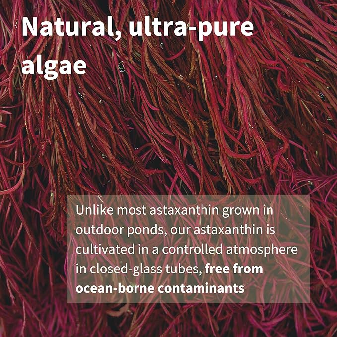 Astaxanthin Complex with Lutein and Zeaxanthin, 42 mg 4mg Softgels,