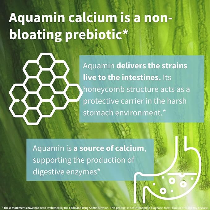 Live Cultures+ Lab4 Probiotics & Prebiotic, 25 Billion 6 x 30 Capsules,