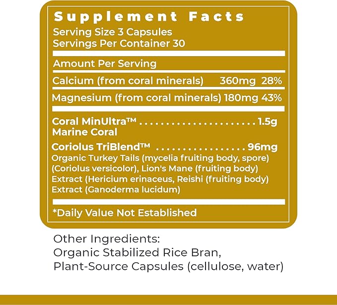 Premier Research Labs Calcium Magnesium Plus - Calcium Magnesium Supplement, Calcium Supplement for Bone Health, with Mushroom Complex - Reishi & Lions Mane - 90 Vegetarian Capsules