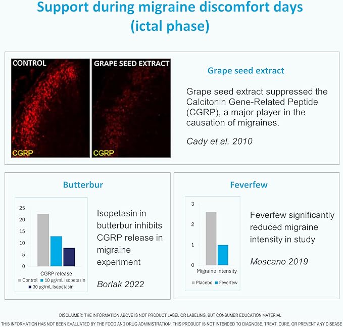 MigRePair | Doctor Formulated Natural Herbal Supplement for Migraine Relief Needs | Supports Relief During Migraine Discomfort (Ictal Phase) with Feverfew | PA-Free Butterbur | Pine bark & Grape Seed