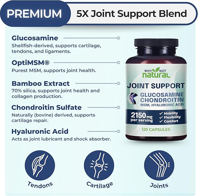 Why Not Natural Glucosamine Chondroitin, MSM, Joint Support Supplements - Knee Pain Joints Health Suppplement