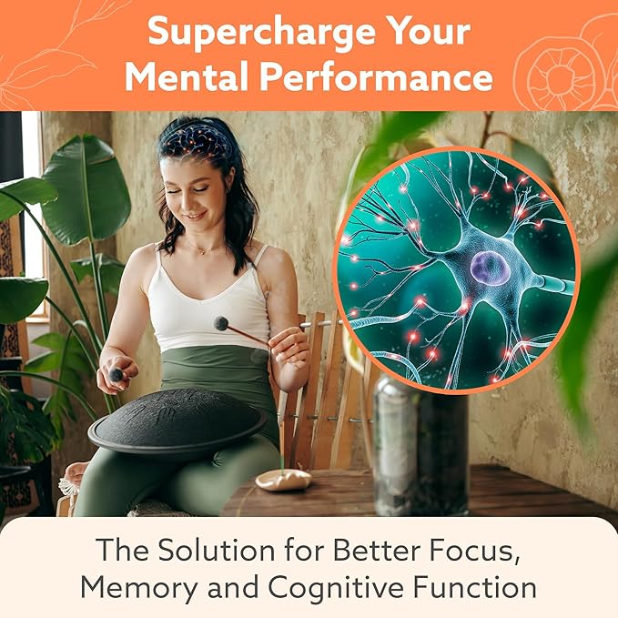 Multi-Mushroom Supplement - Complex For Brain, 60 Capsules