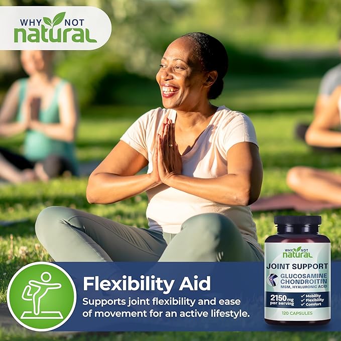 Why Not Natural Glucosamine Chondroitin, MSM, Joint Support Supplements - Knee Pain Joints Health Suppplement