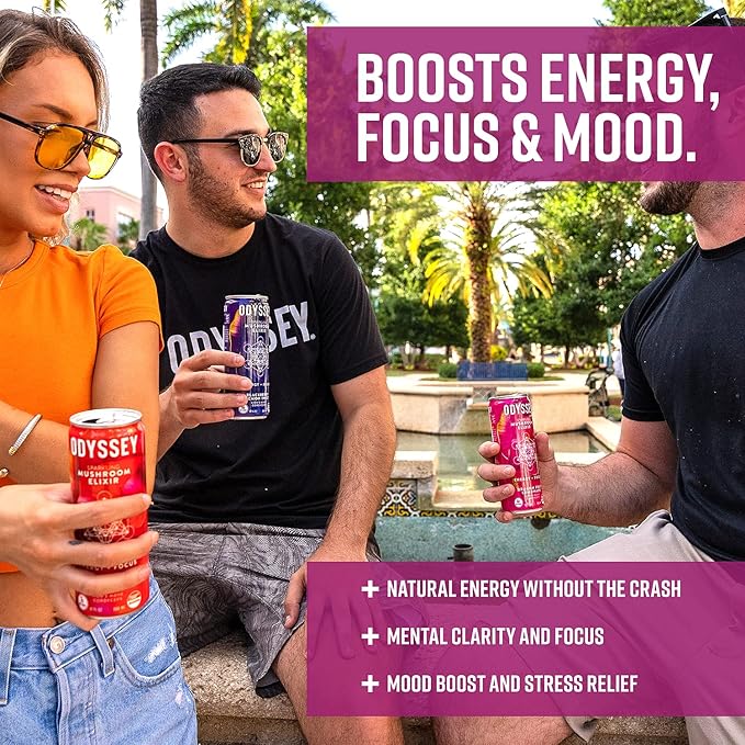 Odyssey Elixir Sparkling Adaptogen Drink, Low 12 Fl 12 Pack