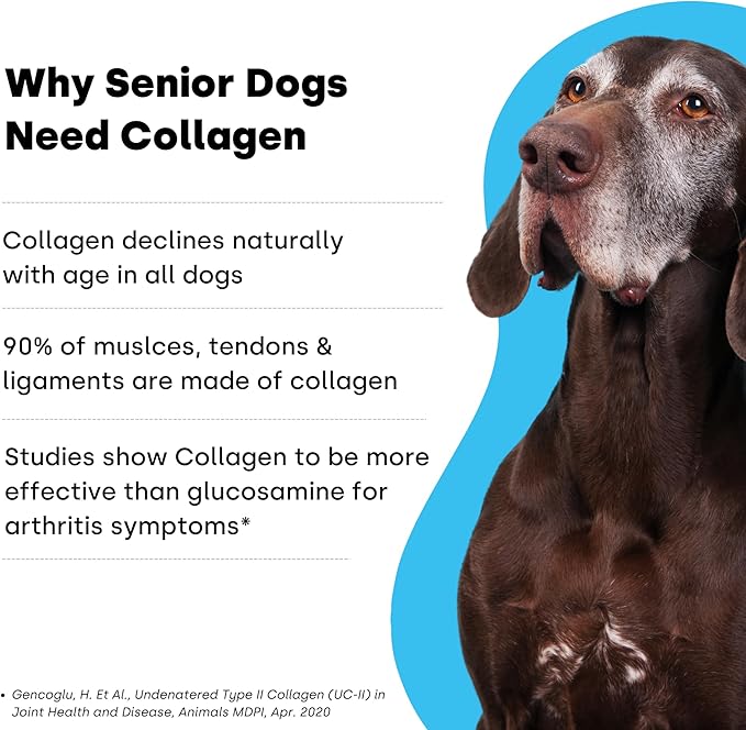 Collagen Puptides - Collagen for Dogs | Premium Dog Joint Support | Great for Senior & Adult Dogs. Premium Bovine, Marine Collagen, Omega 3s. Tasty Steak Collagen Chews for Dogs