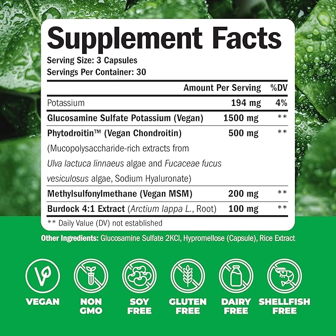 Vegan Glucosamine Chondroitin MSM 100% Vegan 1500 mg. 2 Pack