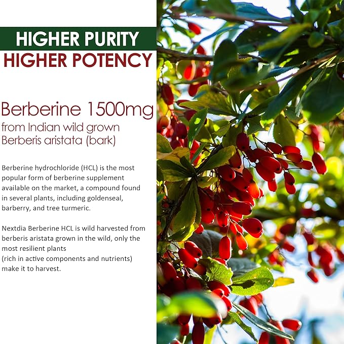 Berberine Supplement 1500mg, Sugar Free Berberine 2 Pack