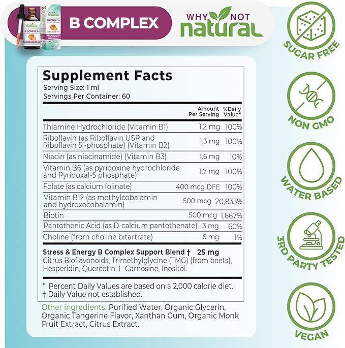 Why Not Natural Vitamin B Complex Liquid Drops - Supplement for Women - Vegan and Sublingual Forms of B1 B2 B3 B5 B6 Biotin Folate and Choline - Plus Blend for Energy Support