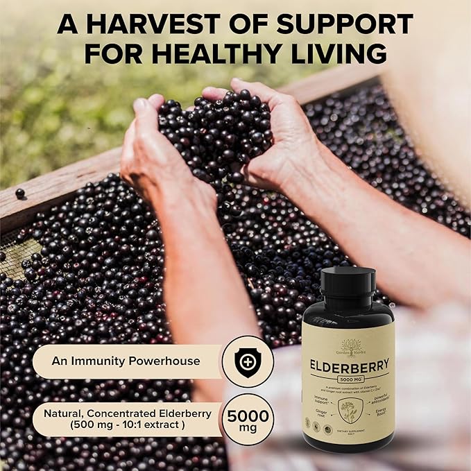Elderberry with Vitamin C, Zinc, & Ginger – Potent Immune Booster 5000 Mg Elderberry, Zinc, & Vitamin C – Non-GMO Immunity Vitamins for Adults to Help You Feel Vibrant, 60 Caps.