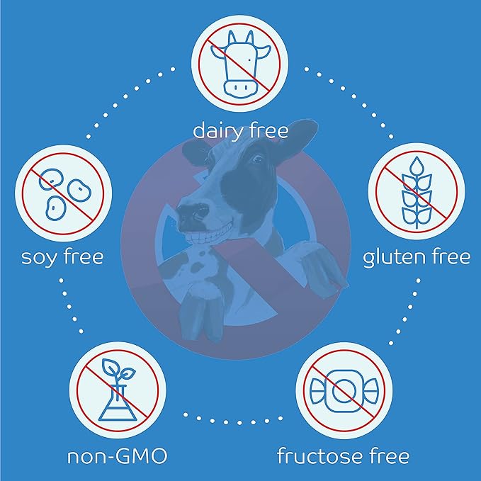 Dairy Free Vegan Soy Free Protein