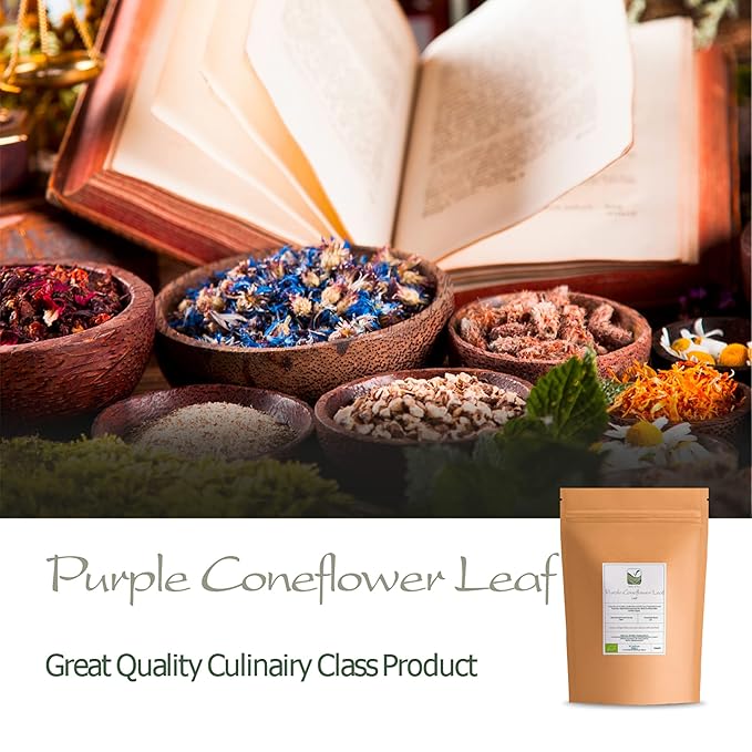 Purple Coneflower Herb Echenecia Tea