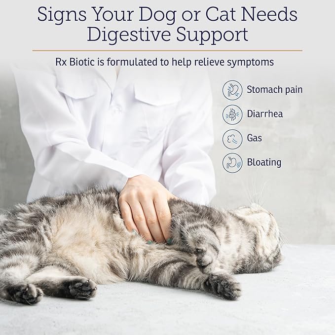 Rx Vitamins Rx Biotic Probiotics for Dogs & Cats - Digestive Supplement for Pets - 2.12 oz