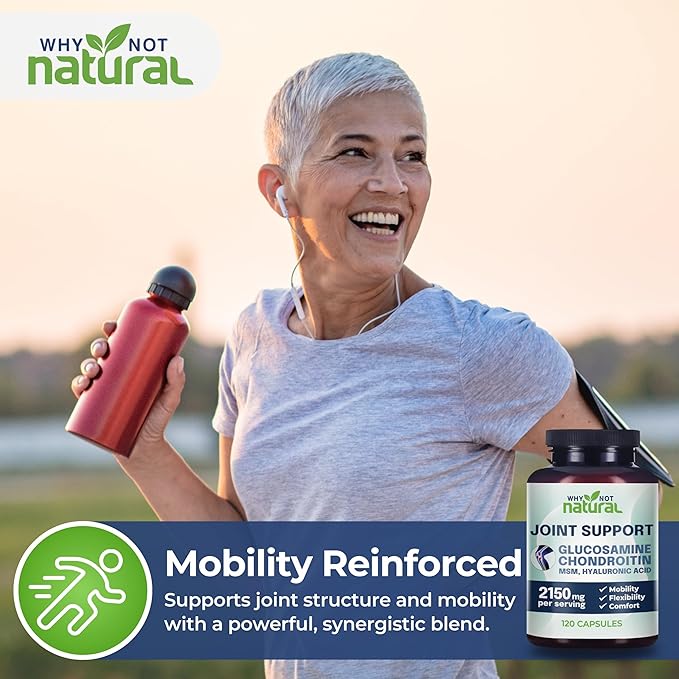 Why Not Natural Glucosamine Chondroitin, MSM, Joint Support Supplements - Knee Pain Joints Health Suppplement