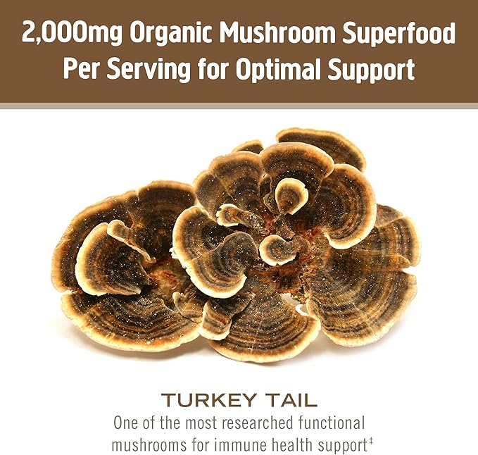 OM MUSHROOM SUPERFOOD Turkey Tail Organic Mushroom Powder Pouch, 7.05 Ounce, 100 Servings, Immune Support, Polysacchrides, Beta-Glucans, Gut Health & Holistic Defense Mushroom Supplement