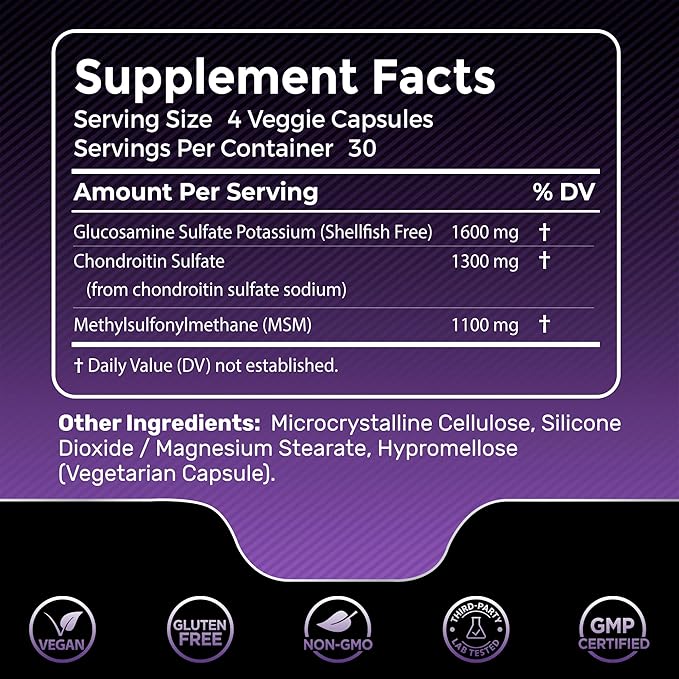 Glucosamine Chondroitin MSM Capsules, Supports Healthy 120 Count 2 Packs