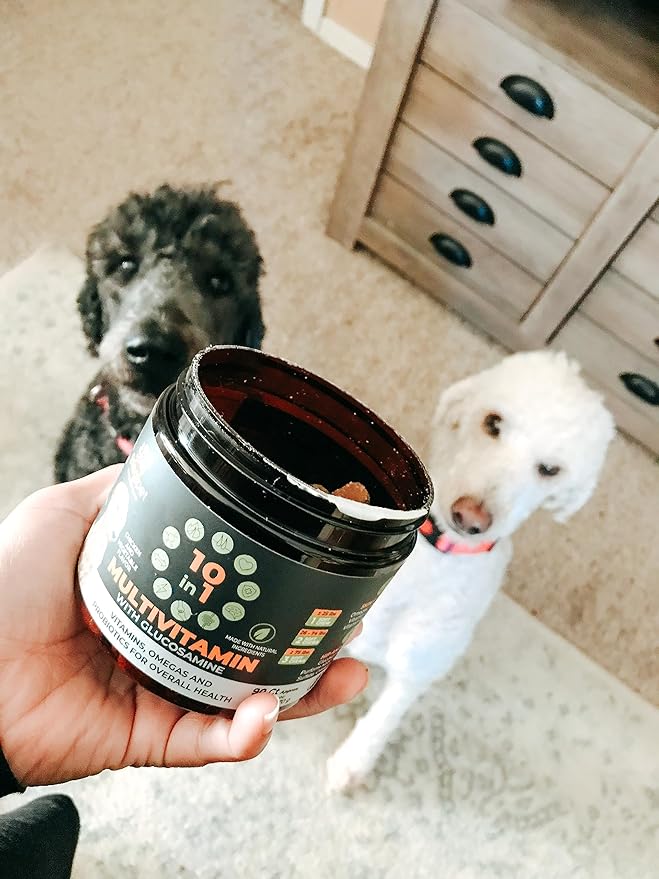 Googipet Premium 10 in 1 Dog Vitamins Multivitamin Chewable w/Dog Probiotics for Gut Health, Dog Vitamins and Supplements w/Vitamin C & Glucosamine for Joint Support (Chicken & Vegetable Flavor)