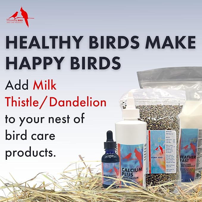 Morning Bird Milk Thistle Dandelion Extract, 1 fl
