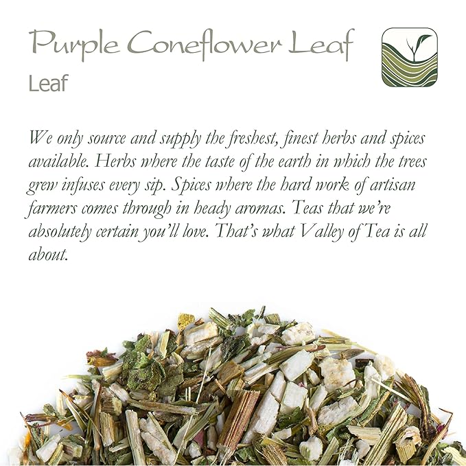 Purple Coneflower Herb Echenecia Tea