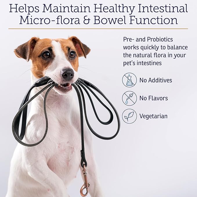 Rx Vitamins Rx Biotic Probiotics for Dogs & Cats - Digestive Supplement for Pets - 2.12 oz