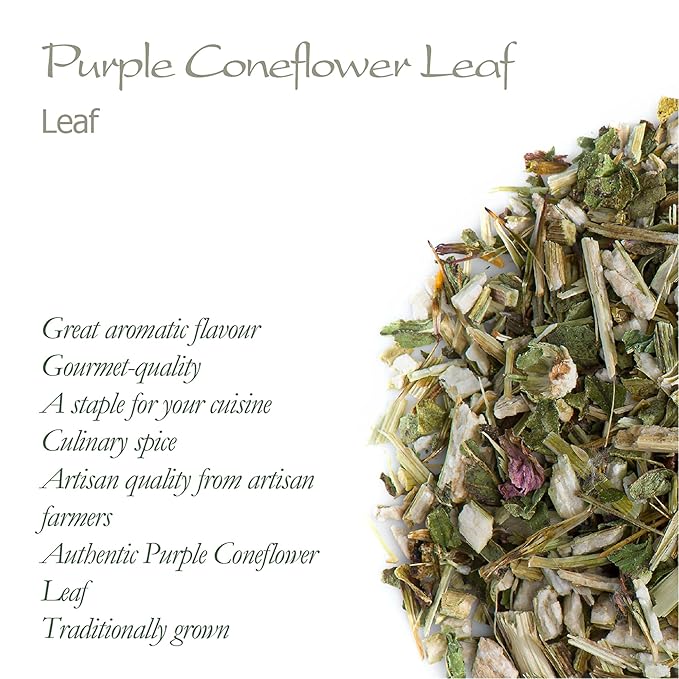 Purple Coneflower Herb Echenecia Tea
