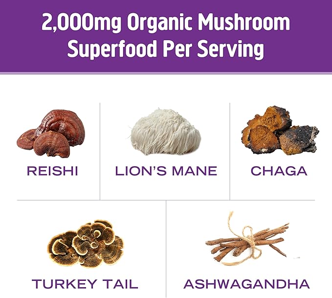 OM MUSHROOM SUPERFOOD Hot Chocolate Blend Mushroom Powder, 8.47 Ounce Canister, 30 Servings, Cocoa, 2g of Sugar, 25 Calories, Lion's Mane, Reishi, Chaga, Turkey Tail, Focus and Stress Support