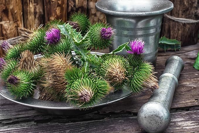 Health Embassy Milk Thistle Seeds Powder 100% Natural (200g)