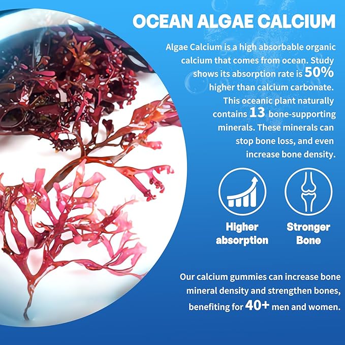 Algae Based Calcium Supplement 600mg, Ocean D3, K2, K2, Magnesium, B6, B12 B12 for 2 Pack