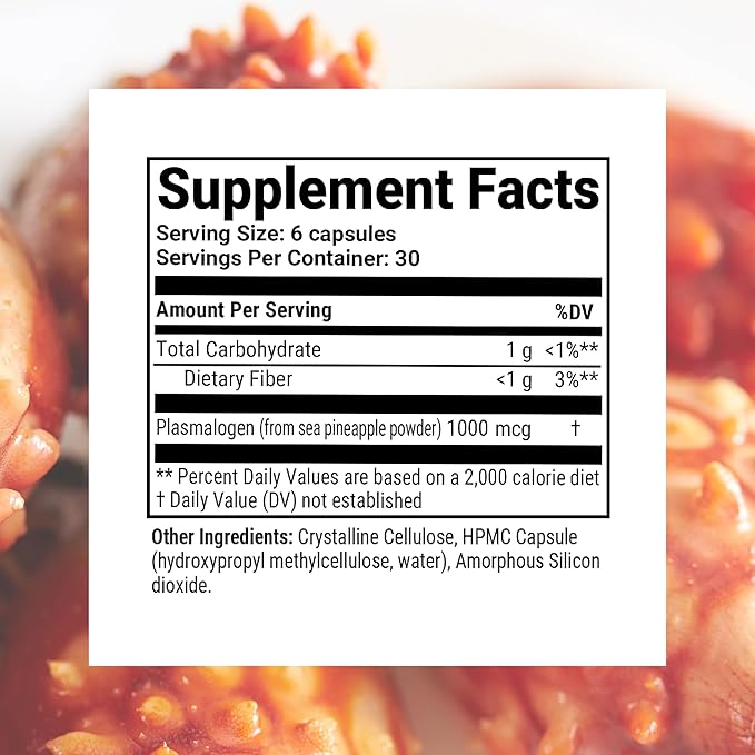 Sun Chlorella Sun Neuro Nootropic Brain Supplement - Daily Memory Concentration & Focus Supplement for Women & Men - Natural Plasmalogen Boost from Sea Pineapples - 180 Capsules