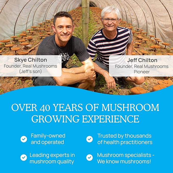 Real Mushrooms RealRest (60ct) Reishi Mushroom