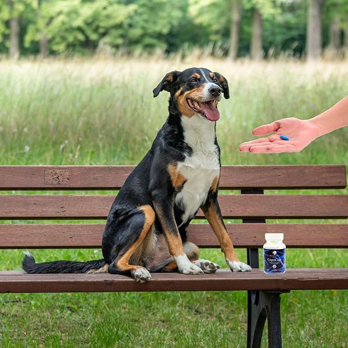 Dr. Fossum's CogniCaps Dog Cognitive Supplement – Multivitamin for Dogs Brain Health with SAM-e, Coenzyme Q10, Polygala, Curcumin – Senior Dog Supplements for Cognitive Support