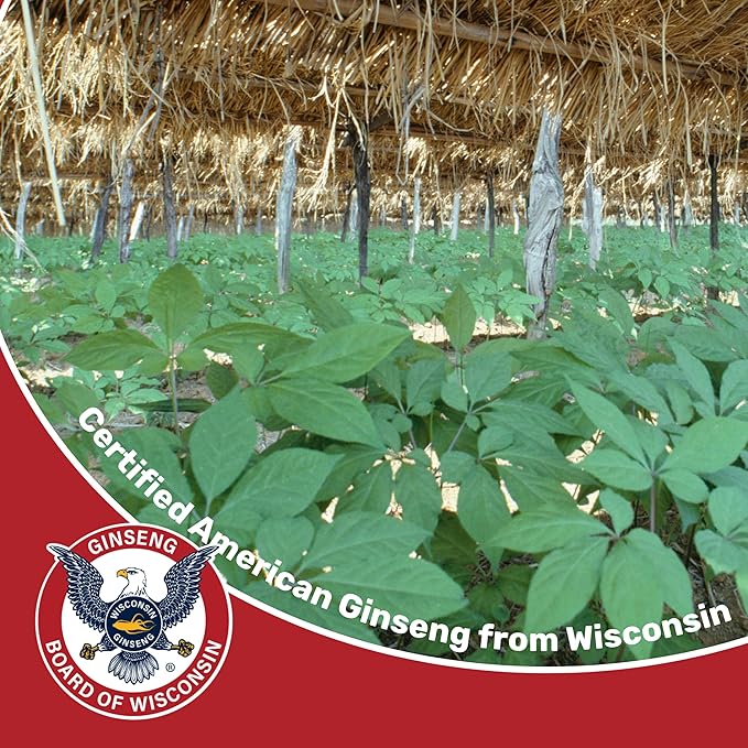 100% Pure Wisconsin American Ginseng Capsules 1000mg per 90 Capsules 45 Day