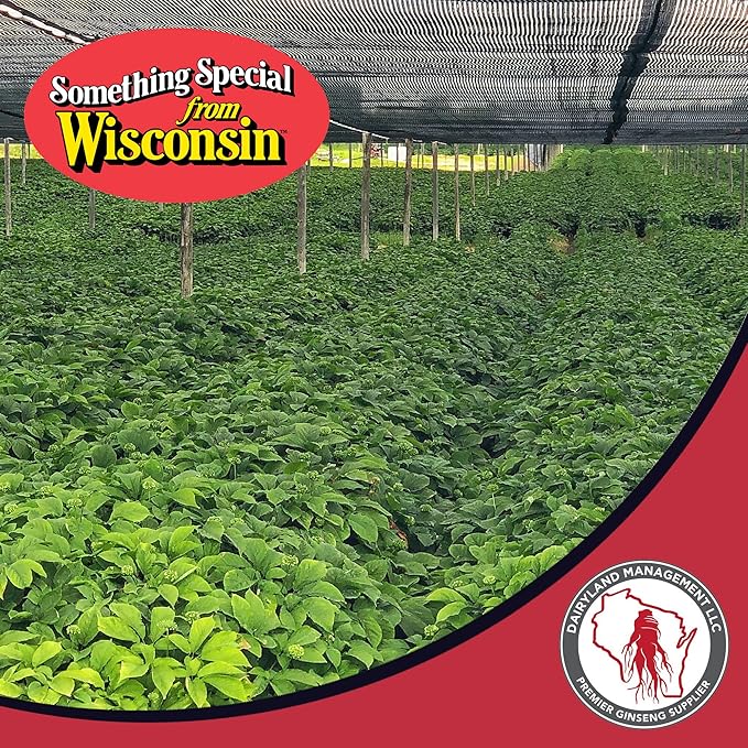 Dairyland Premium American Ginseng Powder 西洋参 8 oz