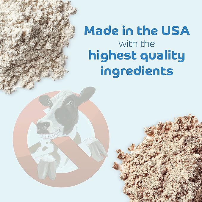 Dairy Free Vegan Soy Free Protein