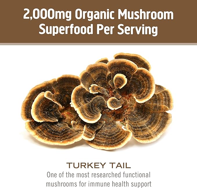 OM MUSHROOM SUPERFOOD Turkey Tail Organic Mushroom Powder, 3.5 Ounce, 50 Servings, Immune Support, Polysacchrides, Beta-Glucans, Gut Health & Holistic Defense Mushroom Supplement