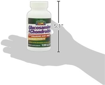 21st Century Glucosamine and Chondroitin Plus 120 Count