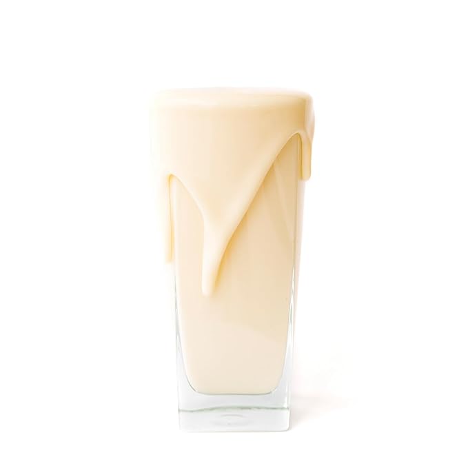 WonderSlim Plant Based Meal Replacement Shake, Vanilla, 15g Protein, Keto Friendly & Low Carb, Low Sugar, Gluten, Soy, & Dairy Free (7ct)