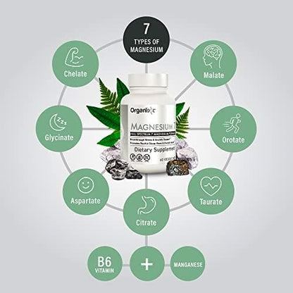 Organixx Magnesium Supplement, Natural Magnesium Capsules B6 and (30 Count)