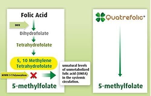 Advanced Blend MTHFR with 1000 mcg Quatrefolic. 1500 mcg Methylcobalamin with Amino Acids to Aid in Detox. Intrinsic Factor for B12 Absorption. 60 Veggie Capsules.