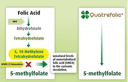 Advanced Blend MTHFR with 1000 mcg Quatrefolic. 1500 mcg Methylcobalamin with Amino Acids to Aid in Detox. Intrinsic Factor for B12 Absorption. 60 Veggie Capsules.