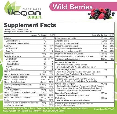 Vegansmart Plant Based Vegan Protein Powder (15 Servings) 6
