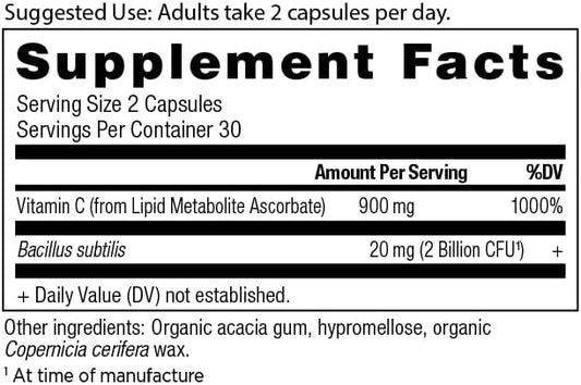 Ancient Nutrition Probiotics and Vitamin C 30 Servings
