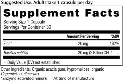 Probiotics and Zinc Supplement by Ancient 30 Count