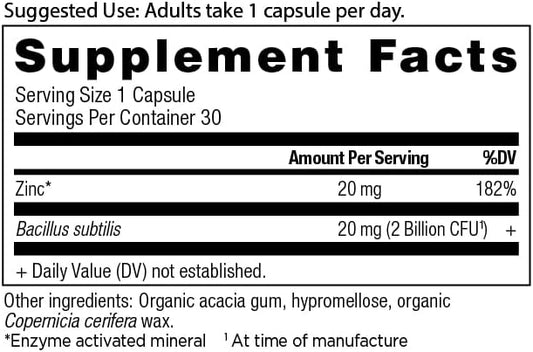 Probiotics and Zinc Supplement by Ancient 30 Count