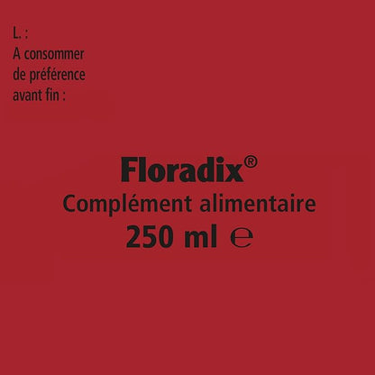 Floradix Liquid Iron and Vitamin Formula 250ml