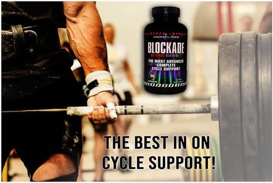 Blockade a Blend of Milk Thistle,Saw Glutathione,COQ10,Magnesium and
